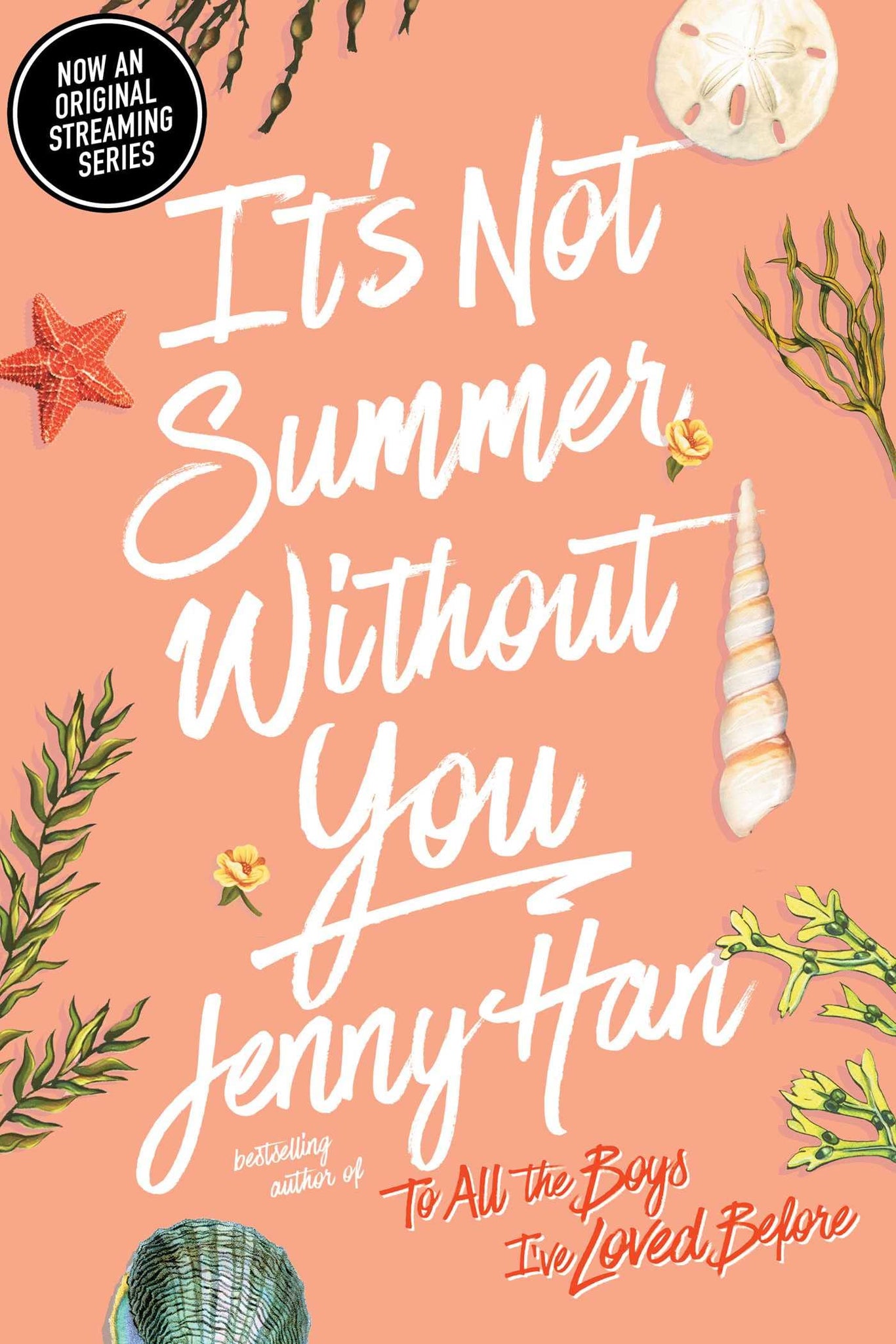 It's Not Summer Without You Summer Novels
